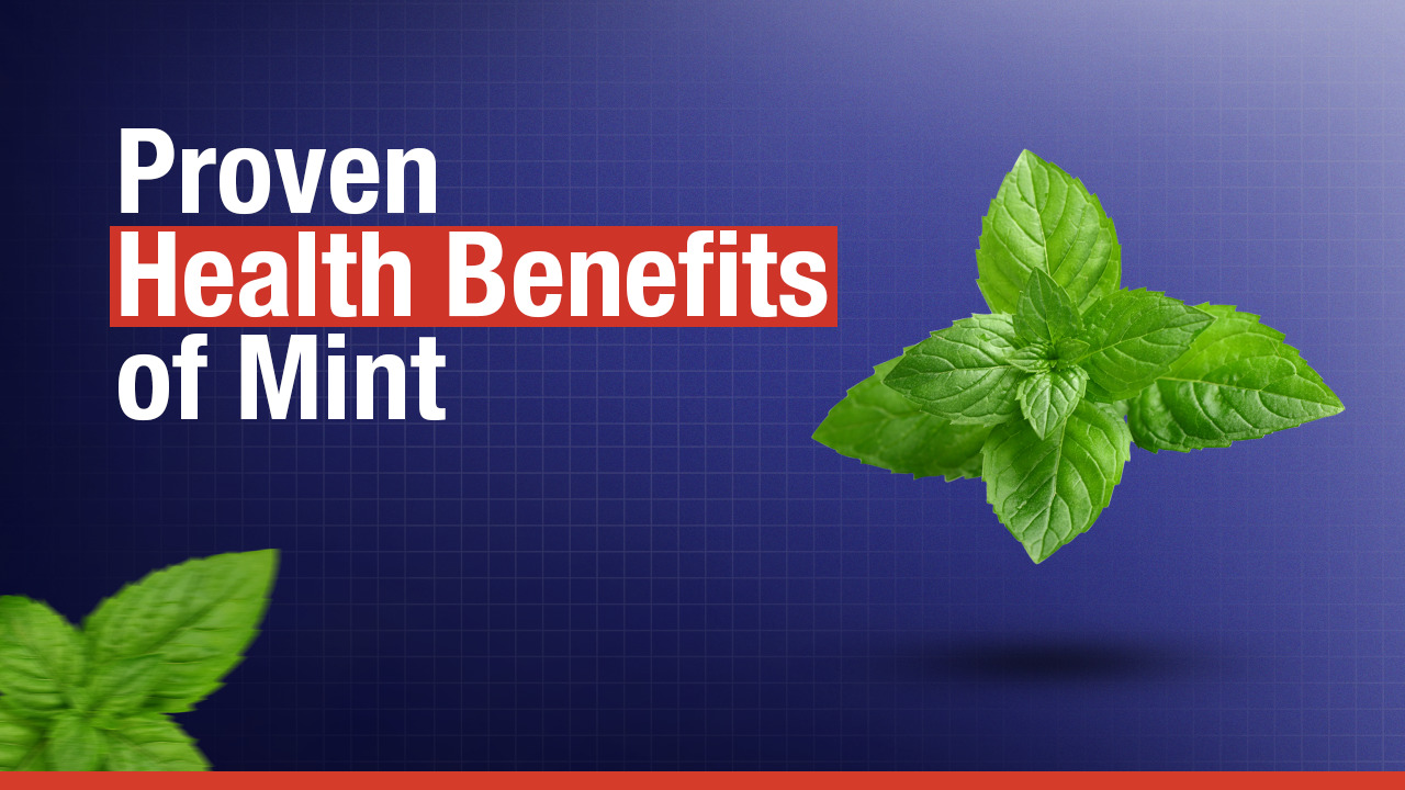 Proven Health Benefits of Mint | Nutrition & Wellness Guide - Dr. Shikha  Sharma's Holistic Diet Plan