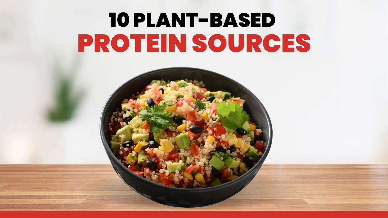 Top Plant-Based Protein Sources for a Healthy & Balanced Diet - Dr. Shikha  Sharma's Holistic Diet Plan